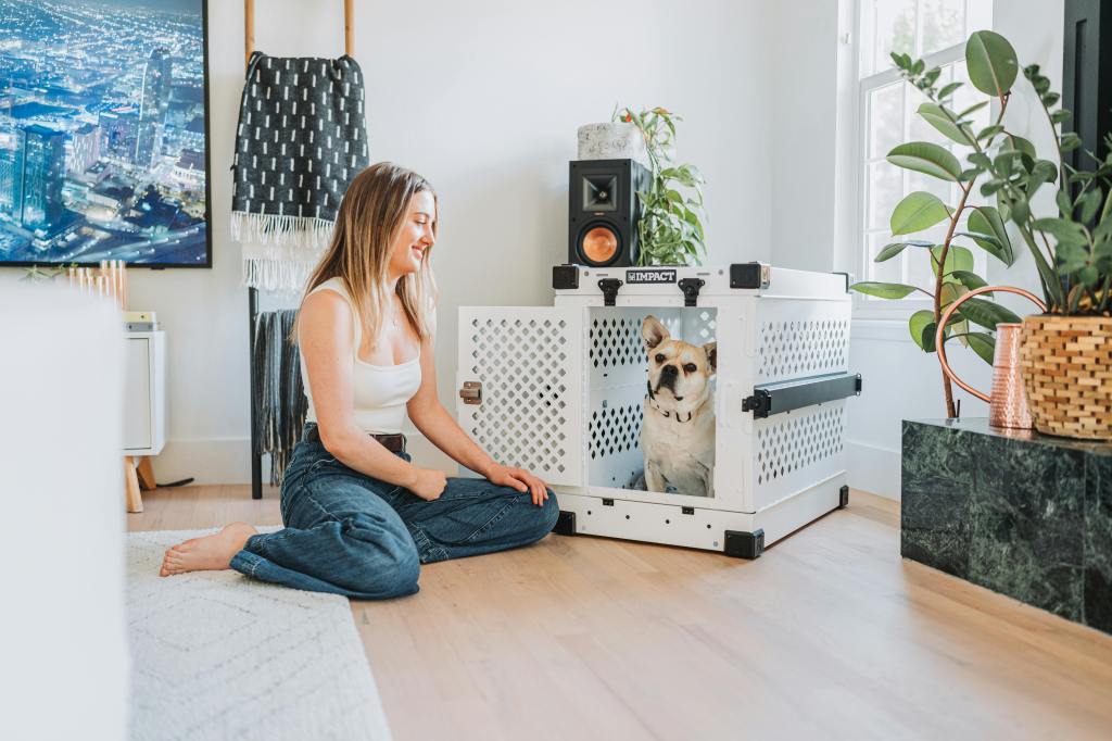 Crate Training and Family Life: How Everyone&nbsp;Benefits