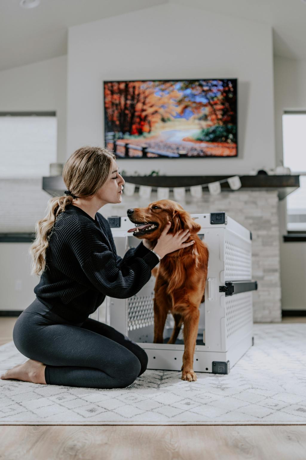 How Crate Training Helps Anxious Dogs Feel More&nbsp;Secure