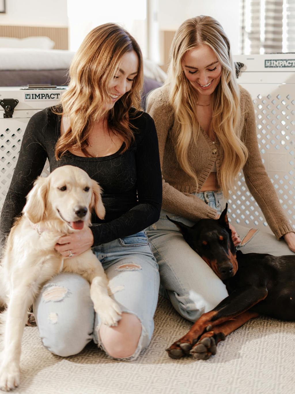 Dog Crates & Anxiety: A Must-Know Guide for Pet&nbsp;Parents