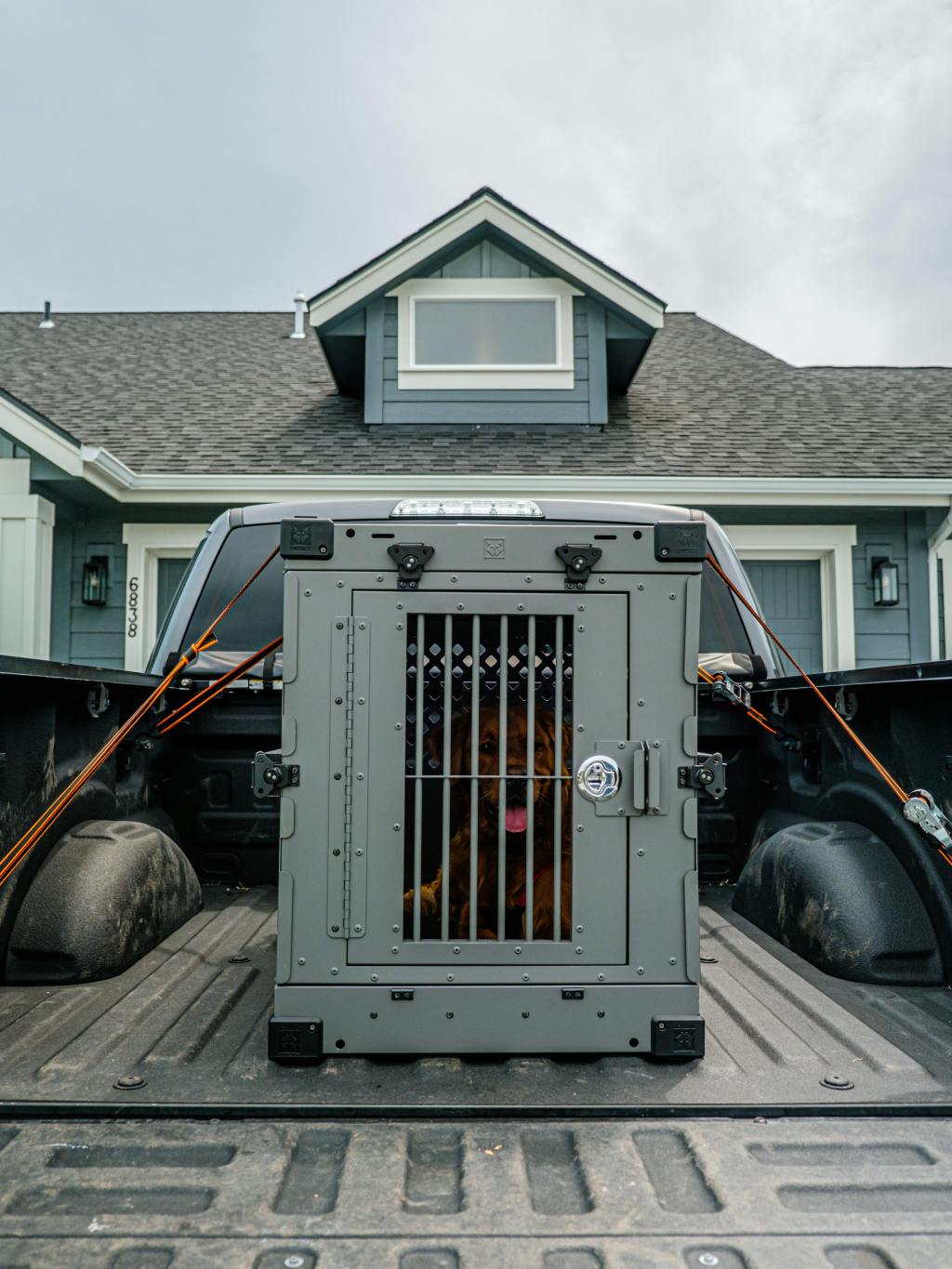 Using Crate Breaks During Busy Events to Keep Dogs&nbsp;Calm