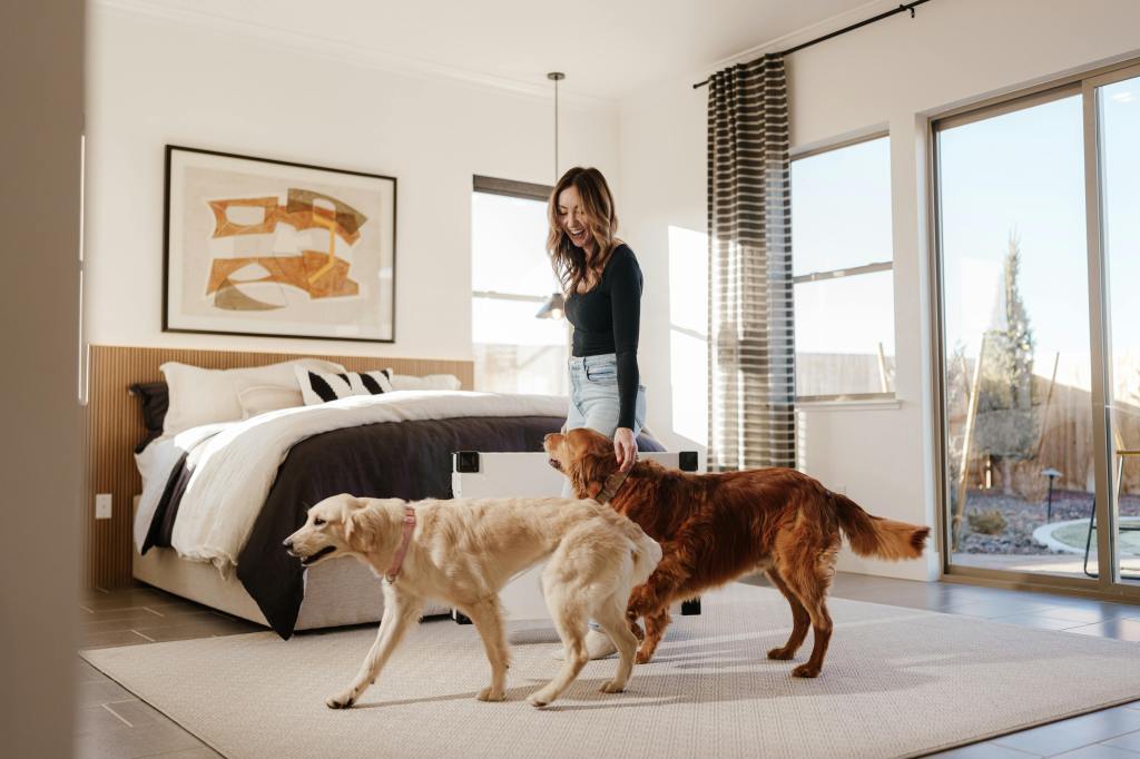 How Impact Dog Crates Create Predictable Comfort for Anxious&nbsp;Dogs