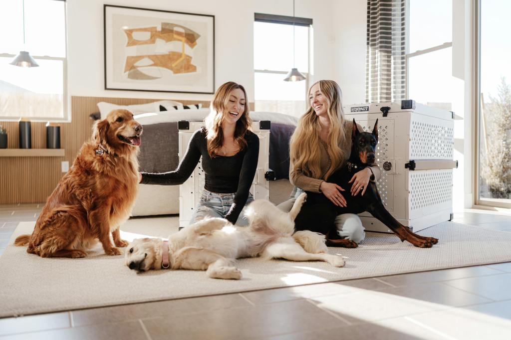 Why Impact Dog Crates Are Ideal for Building&nbsp;Routine
