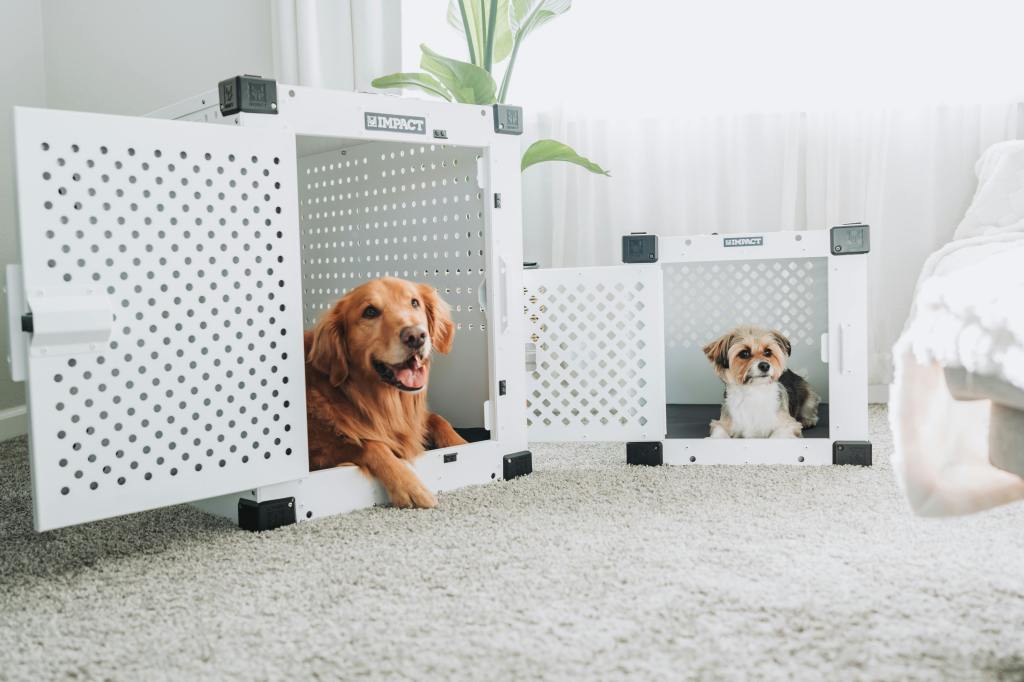 Why Impact Dog Crates Work So Well for Stress-Prone&nbsp;Breeds