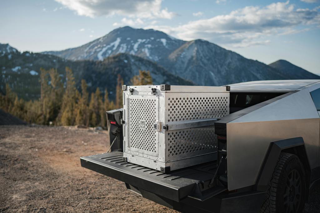 Why Crate Time Matters More for High-Arousal&nbsp;Dogs