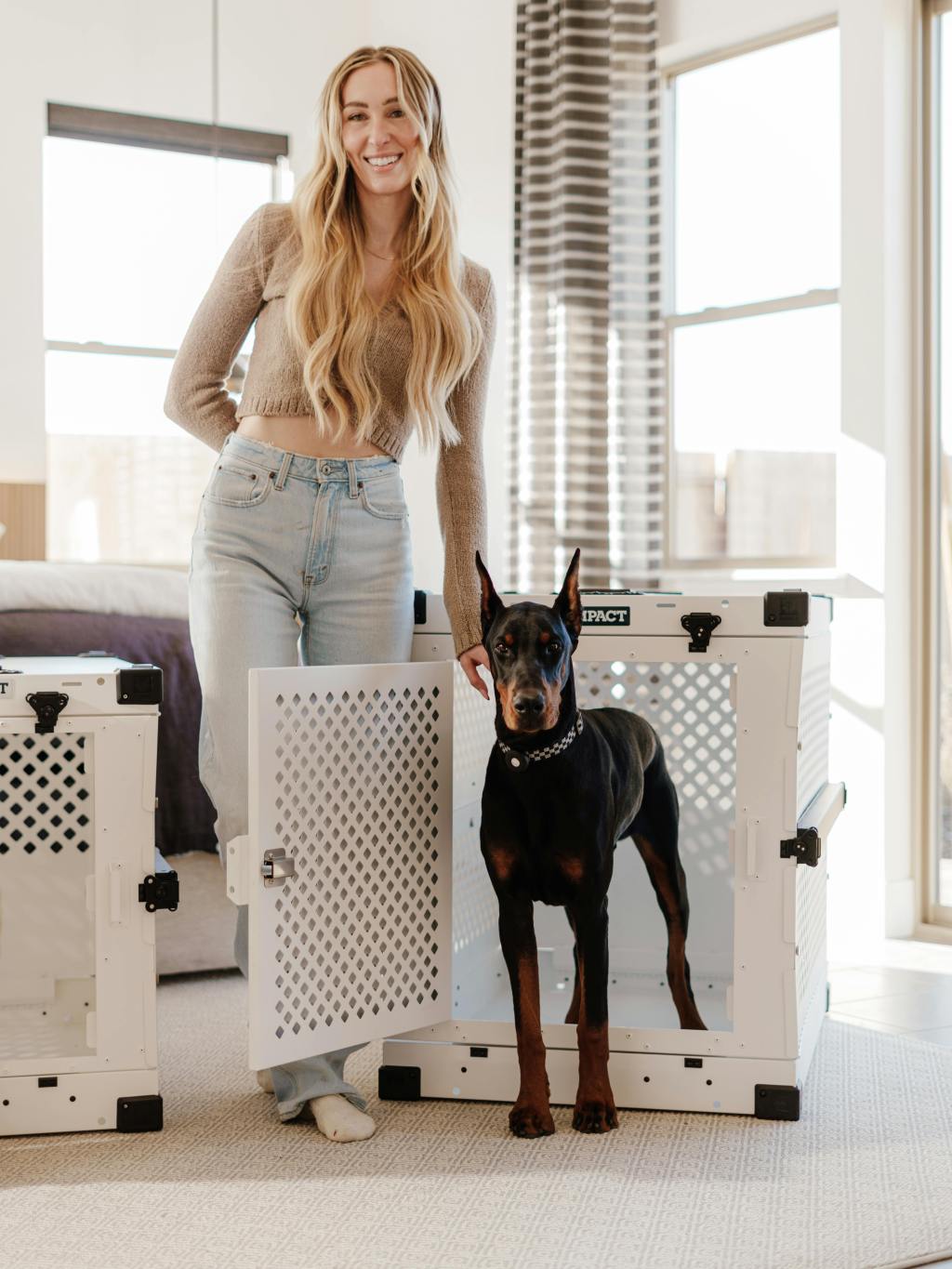 How Impact Crates Provide Comfort to Dogs With Post-Surgical&nbsp;Stress