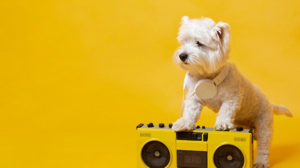 Music Therapy and Crate Time: A Calming Combo for&nbsp;Dogs