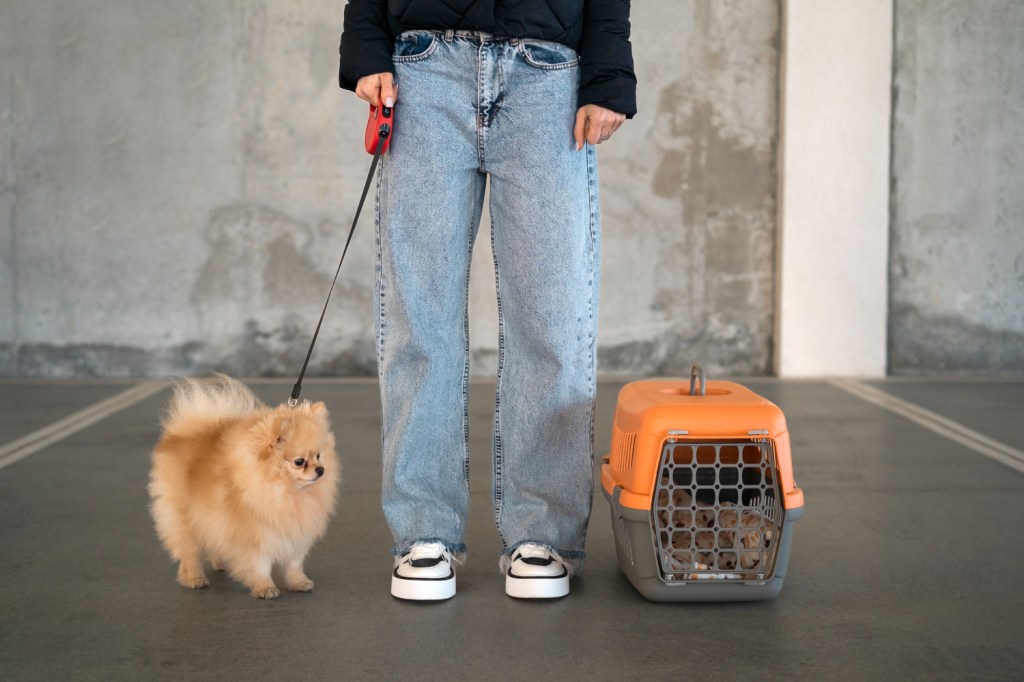 Transitioning From Crates to Free Roaming Without&nbsp;Relapse