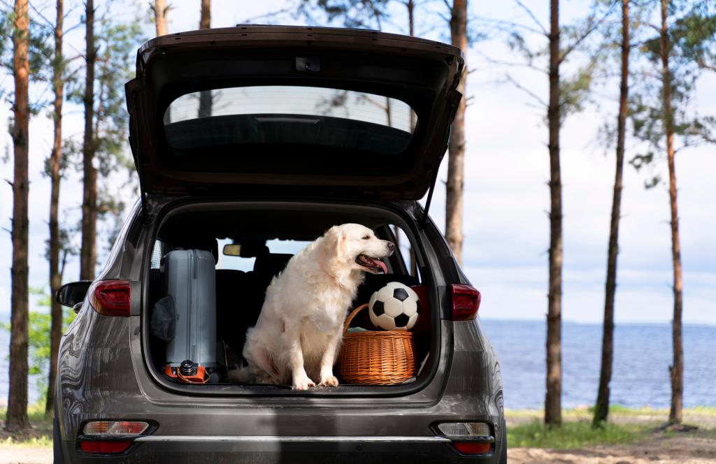 Travel Stress? How a Familiar Crate Calms Your&nbsp;Dog