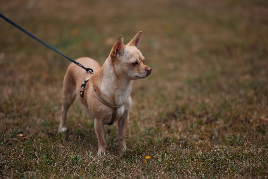 Combining Crate Time With Calming Music and White Noise: Does It&nbsp;Work?