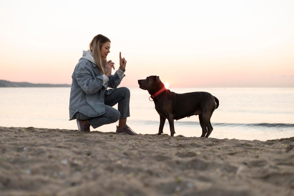 Preventing Lifelong Anxiety: Crating as Early&nbsp;Intervention